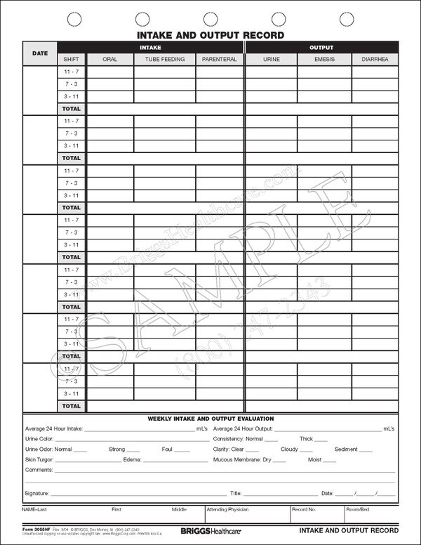 Intake Output Record 3055